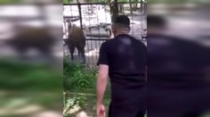 Otrasné video zo zoo: Muž napadol vzácne zviera. Na sociálnych sieťach to vyvolalo búrku