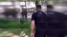 Otrasné video zo zoo: Muž napadol vzácne zviera. Na sociálnych sieťach to vyvolalo búrku