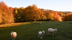 Padol rekord spred takmer sto rokov. Na juhu Slovenska bolo 1. novembra 22,2 stupňa Celzia