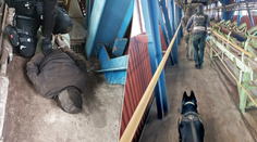 Zlodej sa ulakomil na medené vodiče. Polícia ho chytila priamo pri čine