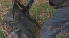 Mŕtve telá oviec, koža aj vnútornosti. Vrecia s takýmto obsahom našli na Záhorí rovno pri ceste