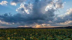 Po vlne horúčav nás čakajú prijateľnejšie teploty, ku koncu týždňa sa počasie pokazí