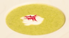 RECEPT NA DNES: Rýchla polievka z jarnej cibuľky