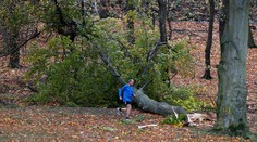 Silný vietor v Nemecku zabíjal, v Čechách sú bez prúdu státisíce domácností