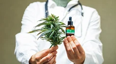 Štyri štáty zlegalizovali marihuanu, Oregon aj halucinogénne huby