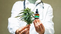 Štyri štáty zlegalizovali marihuanu, Oregon aj halucinogénne huby