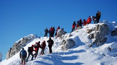 Horskí záchranári našli strateného baču v Malej Fatre bez známok života