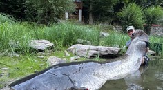FOTO: Z vody vytiahol obrovského predátora. Český rybár opäť prekonal svoj vlastný rekord