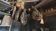 Ukážeme vám vychýrenú chorvátsku delikatesu. Jej hlavnými ingredienciami sú vietor a čas