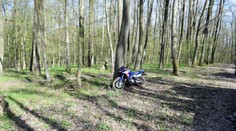 Za jazdu na motorke a autom v lese hrozí rok v base: V Malých Karpatoch chytili desať ľudí