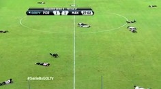 VIDEO: Votrelci na ihrisku prerušili zápas. Fanúšikovia v tom tentoraz boli nevinne