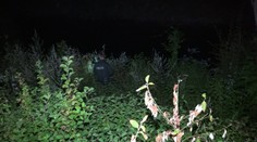 V Žiline zaútočil na ženu diviak, tá sa následne stratila