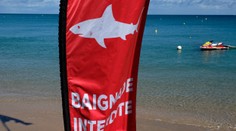 VIDEO: Austrálčana zabil pri pláži obrovský žralok, útok zachytila kamera