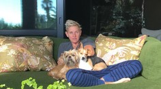 Miláčik Ameriky Ellen DeGeneres čelí škandálu. Pracovať pre ňu je peklo!