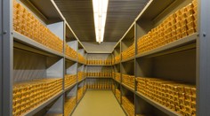 Nočná mora za oceánom. Nemecko sa bojí o svoj zlatý poklad uložený v trezoroch USA