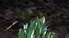 Pred nami sú slnečné dni: Teploty vystúpia poriadne vysoko, rána budú mrazivé