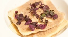 Ravioli plnené červenou repou a ricottou