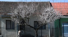 Na príjemné oteplenie zatiaľ zabudnite. Čakajú nás chladné dni a ešte chladnejšie noci