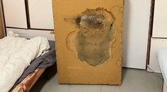 Plesnivé postele aj kúpelne. Nedôstojné podmienky na internátoch môžu ohroziť zdravie, varuje lekár