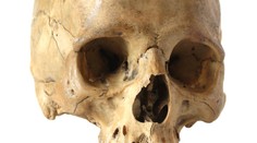 V Rožňave objavil muž v lavóre otrasný nález