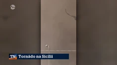 Zahraničné spravodajstvo