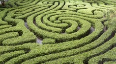 V Starej Ľubovni chcú postaviť najväčšie bludisko v strednej Európe