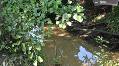 Škody za viac ako 400 miliónov eur. Enviropolícia vzniesla obvinenie v prípade katastrofy na rieke Hron