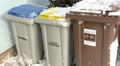 Zisťovali sme, čo všetko patrí a nepatrí do hnedého smetiaka