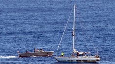 Chytili žraloka, ktorý sa prvýkrát objavil pred 80 miliónmi rokmi: Podobá sa skôr na úhora