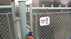 Nebezpečný pes hryzie susedov, rady si s ním nevie dať ani polícia