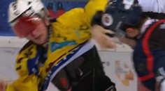 To bola mastenica! Hokejista pre krv nevidel cez plexisklo