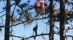 Hasičov v Trenčíne vyslali na pomoc parašutistovi. V skutočnosti to bola len hračka