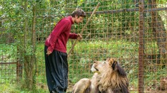 Leva, ktorý na Morave roztrhal chovateľa, zastrelili policajti