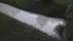 Nevídaný úkaz. Voda v potoku v košickej Šaci sa zafarbila dobiela