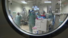 Vďaka tejto transplantácii môžu byť protézy čoskoro minulosťou