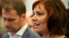 Bojovník proti mafii. Matovič bude mať na volebnej kandidátke pri mene takéto zamestnanie. Neuveríte, čo si dala Remišová