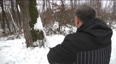 Tu už končia všetky žarty! Deti sa sánkujú pod nadpílenými stromami