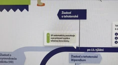 Mamičky si počkajú. Automatické materské a tehotenské sa odkladá