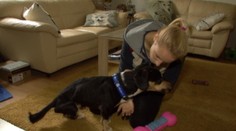 Dráma s hľadaným psíkom má šťastný koniec, toto odkázala majiteľka psíčkárom