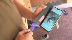 Na juhu Slovenska vyčíňa travič psov. Otravu hádže priamo za brány domov