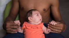 Nakazenie vírusom zika diagnostikovali vlani v USA 31 ľuďom