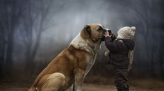 Nádherné fotografie. Matka fotí svoje deti so zvieratami