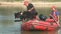 Pátrať po 31-ročnom mužovi, ktorý sa utopil na Domaši, pomáha aj špeciálne vycvičený pes