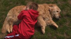 Jej pes dokázal vycítiť blížiaci sa záchvat. Petra pomohla rozbehnúť na Slovensku canisterapiu