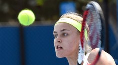 Schmiedlovej ide karta