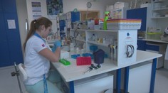 Vakcína na koronavírus je zatiaľ v nedohľadne. Pozrite sa, ako postupujú vedci