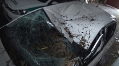 Zomrel, aby zachránil štyri ľudské životy. Príbeh Singapurčana, ktorý zahynul v Nízkych Tatrách