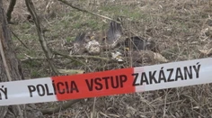 Poľovník, ktorý otrávil dravé vtáky, sa postavil pred súd