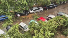 FOTO a VIDEO: Bratislavou sa prehnala smršť. Silný vietor, lejak a krúpy po sebe zanechali spúšť