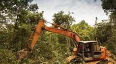 Brazília povolila ťažbu zlata v rozsiahlych oblastiach Amazónie